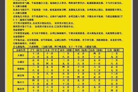 生肖配对查询男女