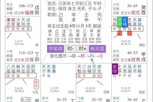紫微斗数之纳音五行 紫微斗数之纳音五行