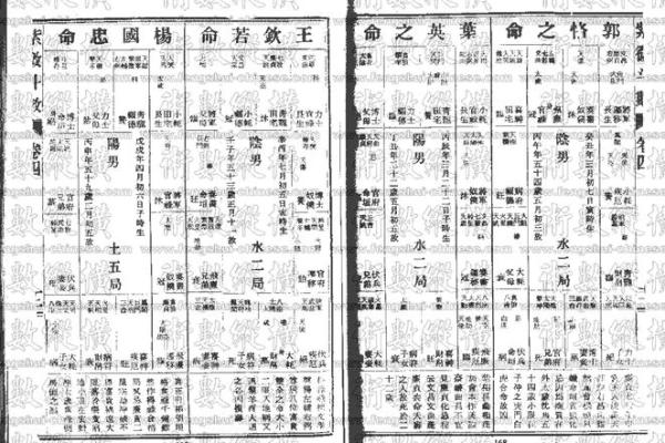中国紫薇斗数泰斗