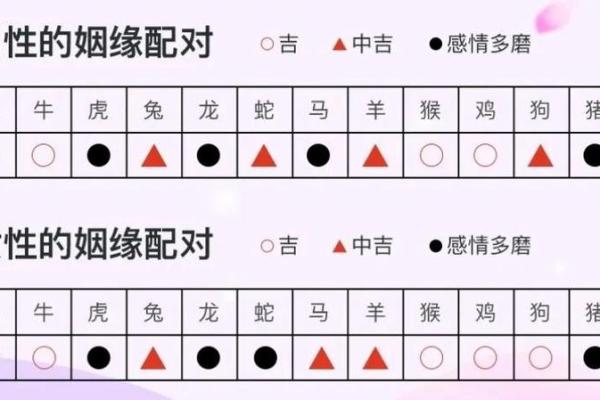 属蛇的人和哪些生肖最为配对