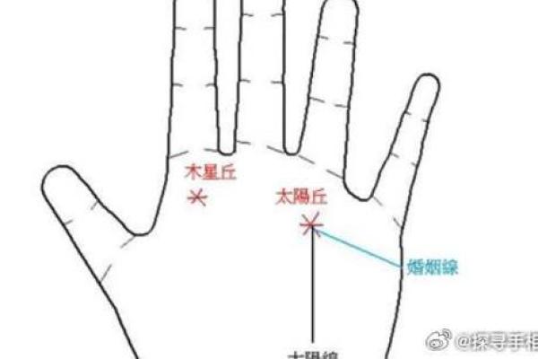 凯帝阿手相算命图解大全02