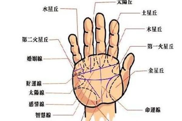 图解;手相赌运纹算命