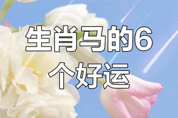 唐艺尹老师传统八字：马生肖出生时间看命运