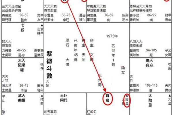 紫薇斗数看公职