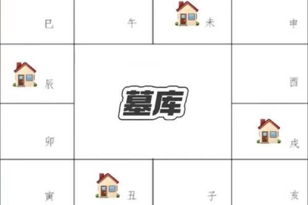 紫薇斗数详解软件