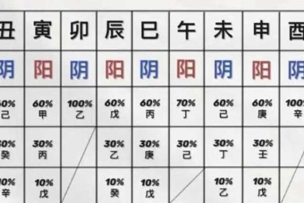 巳酉八字
