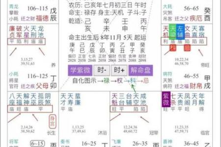 紫微斗数之纳音五行