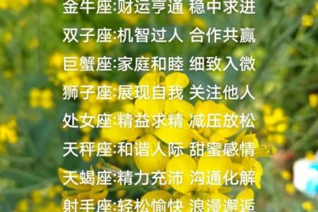 哪个星座是福泽绵绵的