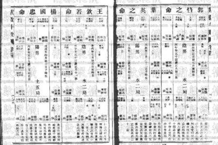 中国紫薇斗数泰斗