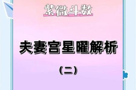 紫薇斗数看配偶大小