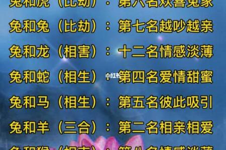 生肖配对查询表