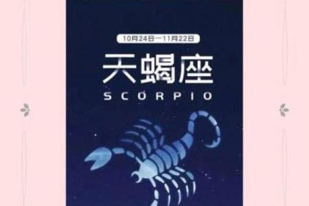 2002年11月五日什么星座适合