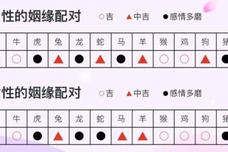 属蛇的人和哪些生肖最为配对