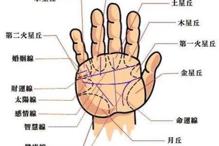 凯帝阿手相算命图解大全02