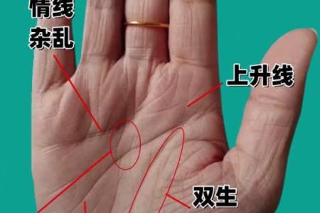 图解;手相赌运纹算命