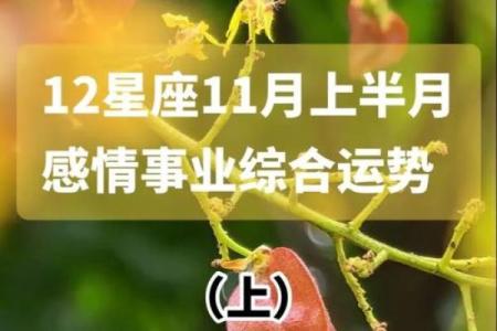 11月3日12星座运势