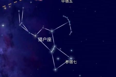 流星是落在哪里的星座