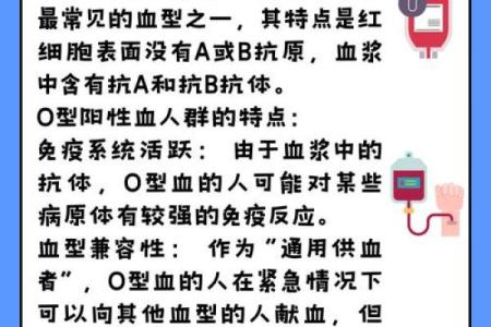 o血型稀有吗 O型血少见吗