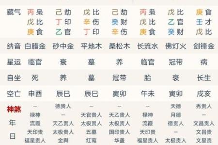 巳酉八字