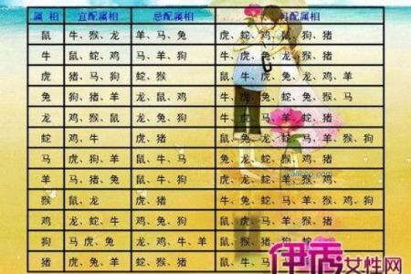 61年属什么生肖配对