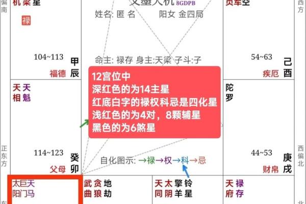 紫薇斗数星大全