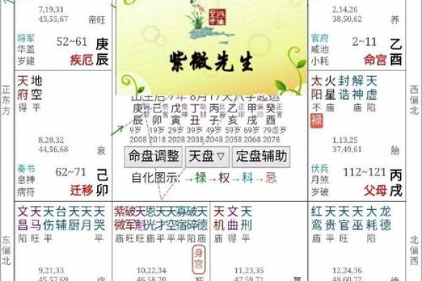 紫薇斗数怎么定星斗