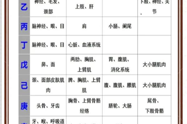 八字干支查询