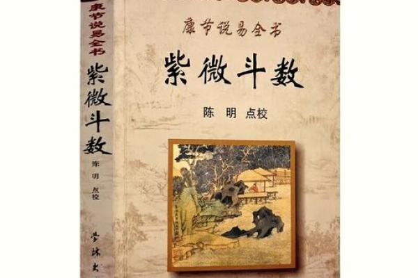 紫薇斗数原版白话书