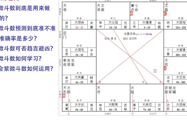1986年紫薇斗数