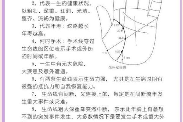 男人生命线图解，男人看手相生命线算命