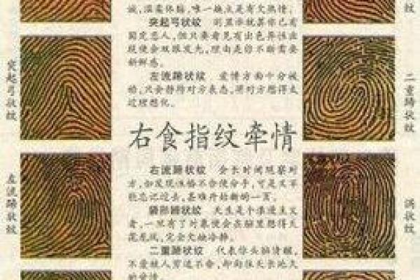 详细分析：手掌中的指纹预测算命，快来算算你的运势如何！