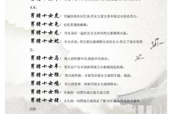 生肖查询：1996年属什么生肖配对