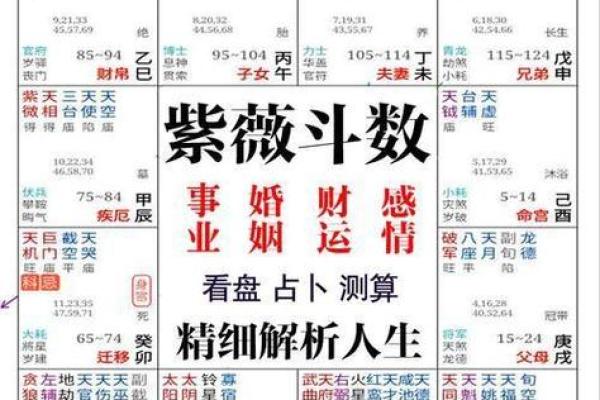八字取名免费测算,八字算命免费测八字起名