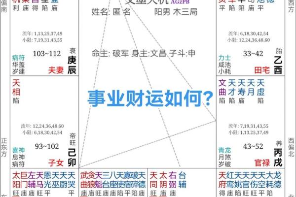 紫微斗数之：论财运