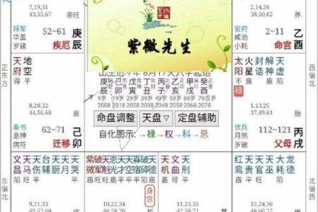 紫薇斗数怎么定星斗