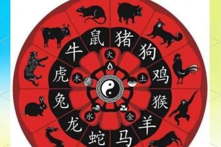 八字对应生肖