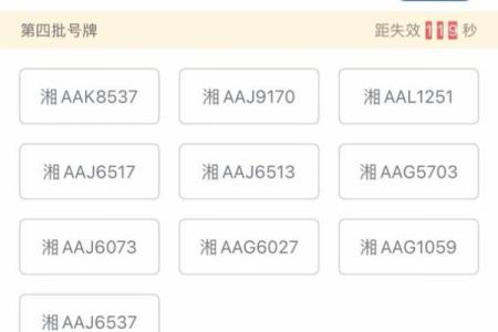 八字选车牌