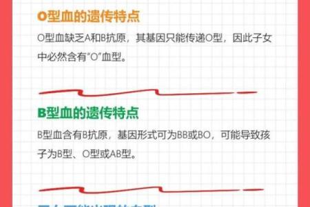 关于血型的婚姻综合症