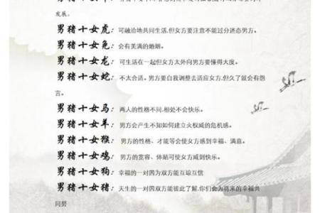 生肖查询：1996年属什么生肖配对