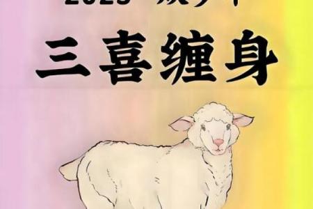 属羊的2024年11月宜提新车吉日 哪天适合买新车