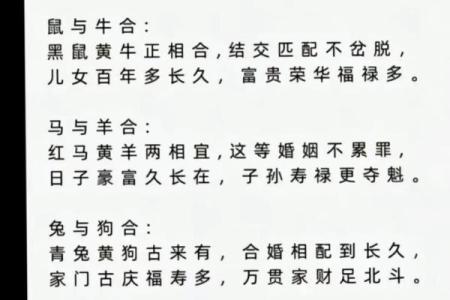 属相婚配表配对查询