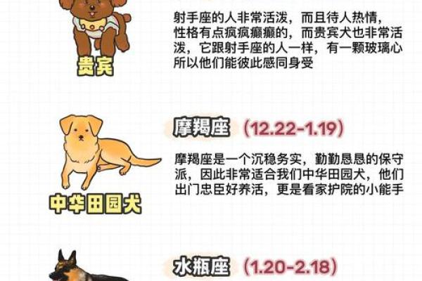 狗年运势旺到爆的星座