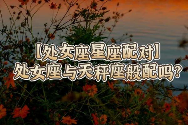 女生处女座和什么座最配对 处女座女和什么座最配对男
