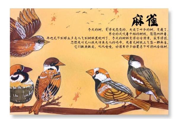 麻雀与房子风水有关吗