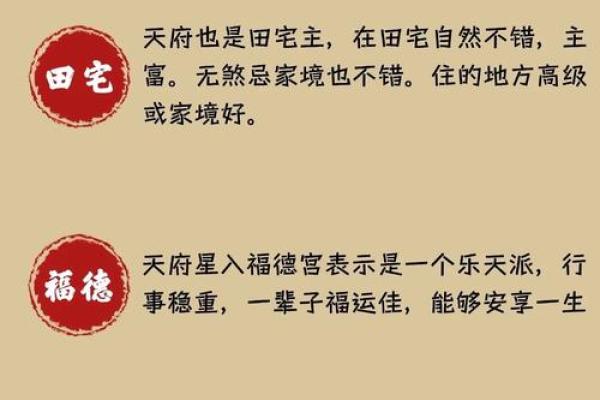 善良的紫薇斗数