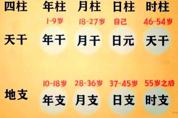 生辰八字四柱含义是什么