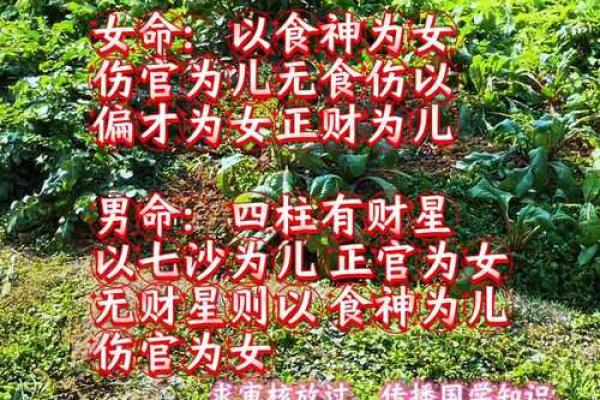 算命无妻命