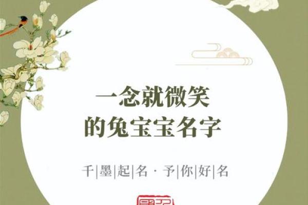 兔宝宝生辰八字