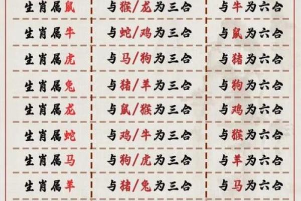 生肖配血型前途最远大TOP3