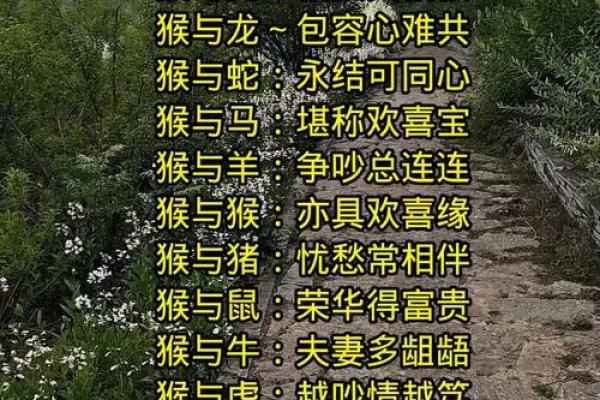 羊跟猴婚姻相配吗 羊和猴配对是否合适